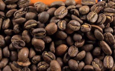 Does It Matter When Coffee Was Roasted? The Importance of Freshness in Your Locally Roasted Coffee