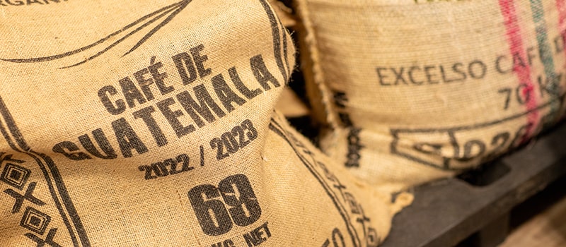 Burlap bags of coffee from Guatemala