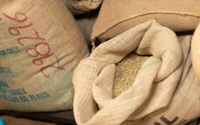 The Art and Science of Coffee Blends: What is the Blending of Coffee?