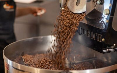 Does Grinding Coffee Fresh Make a Difference?